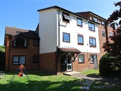 Picture 12